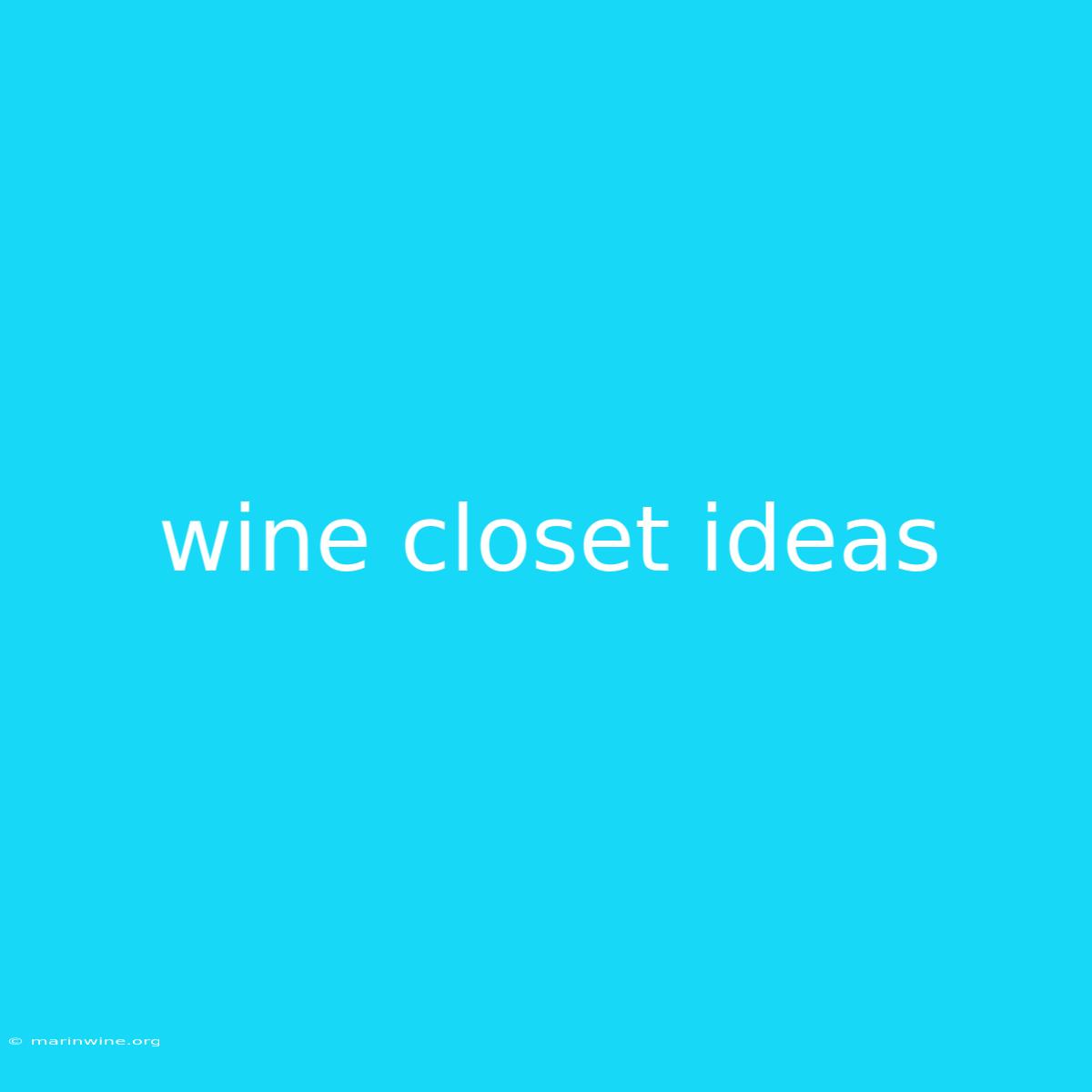 Wine Closet Ideas