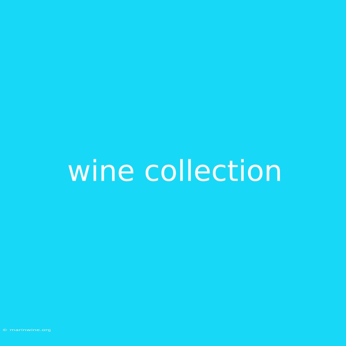 Wine Collection