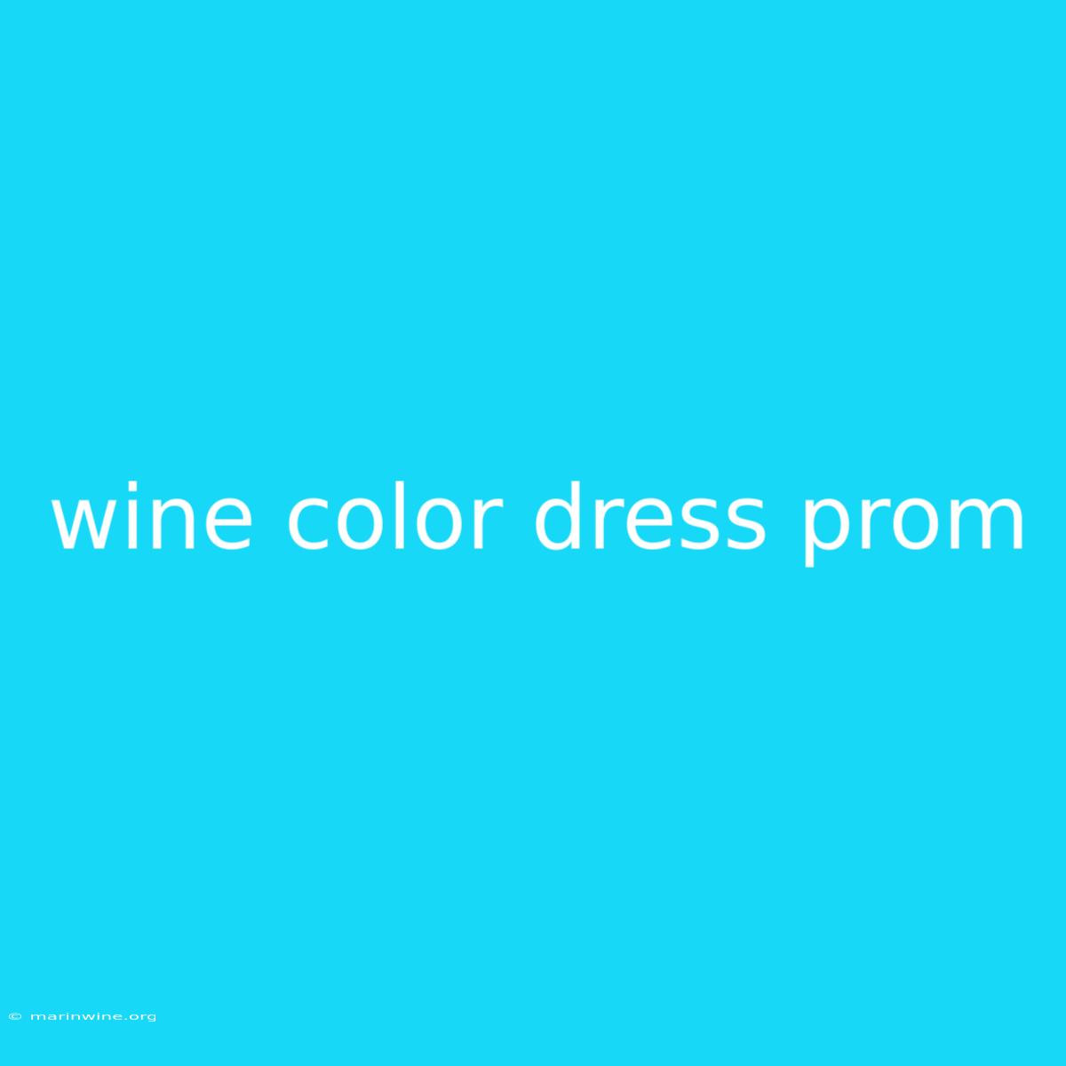 Wine Color Dress Prom