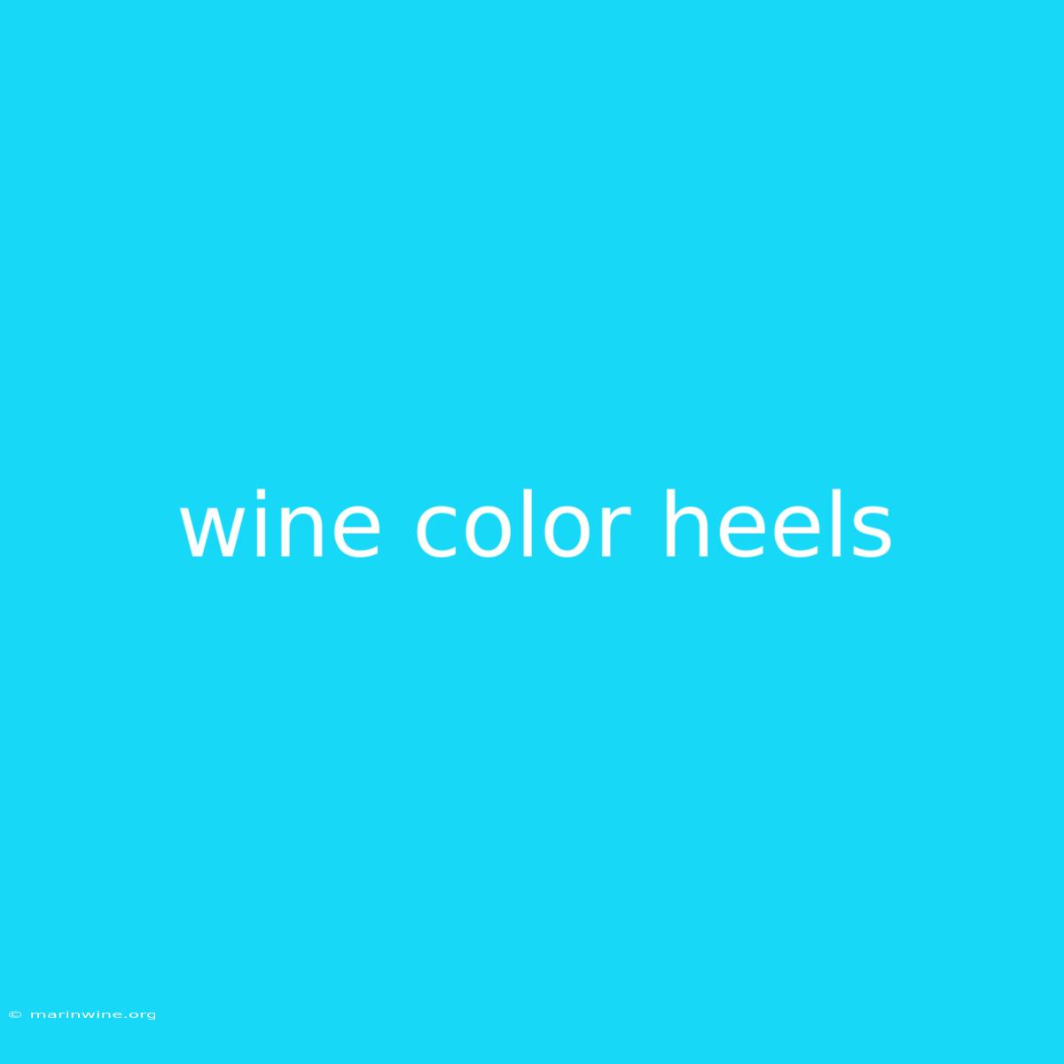 Wine Color Heels