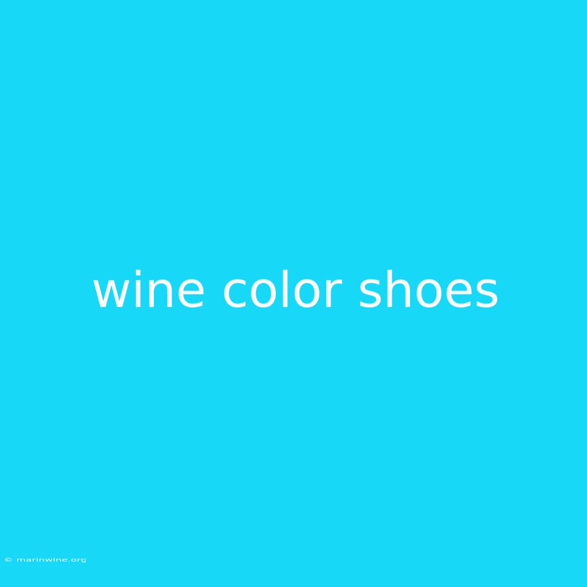 Wine Color Shoes