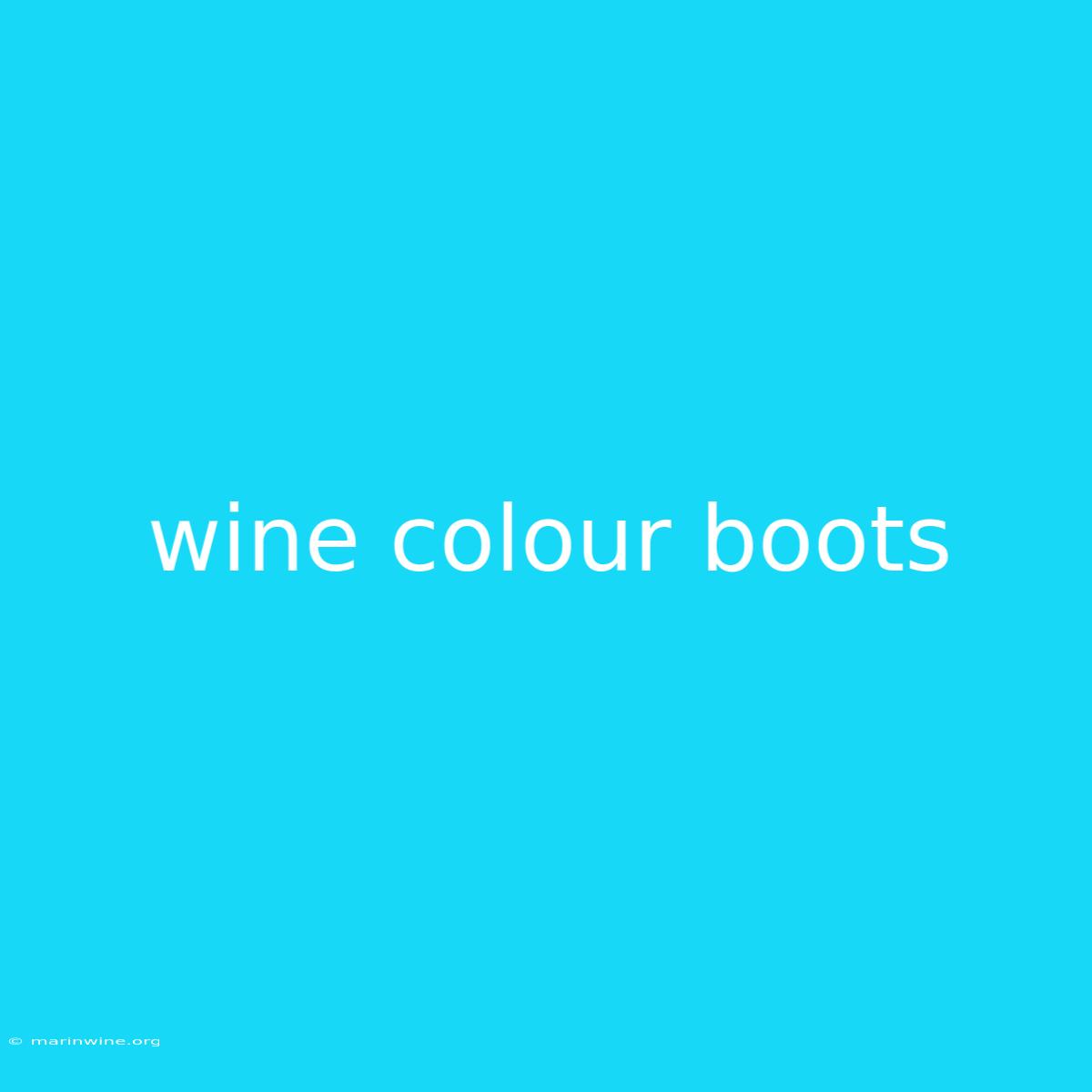 Wine Colour Boots