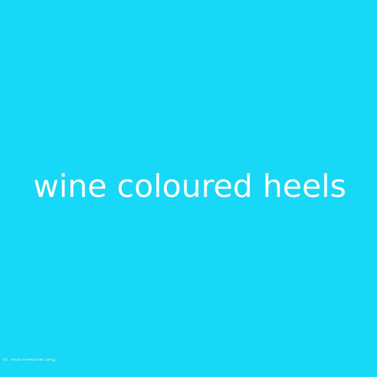 Wine Coloured Heels