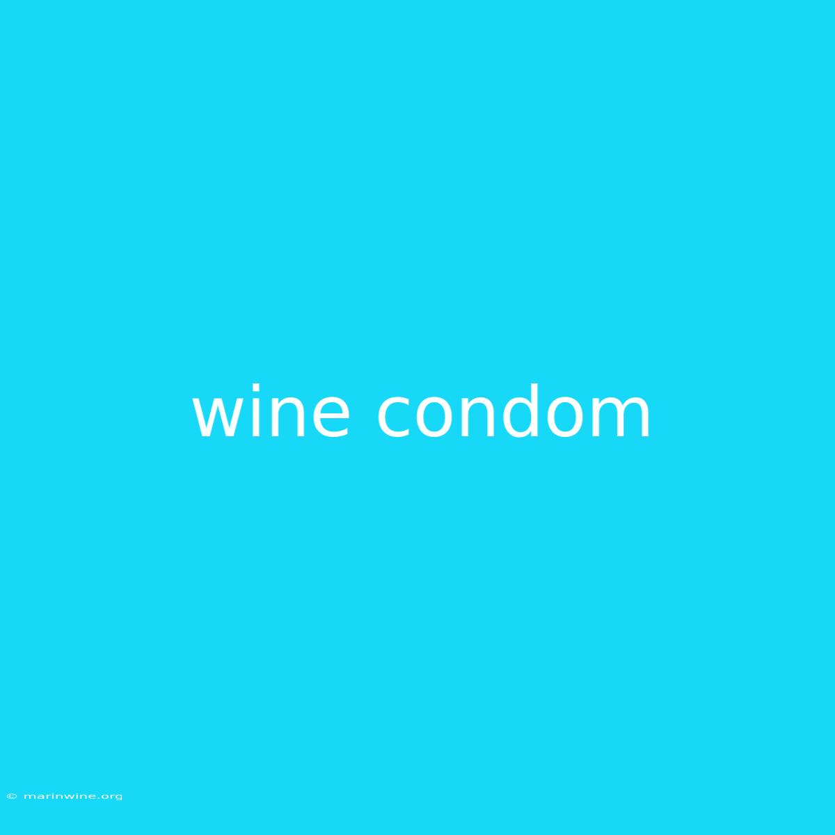 Wine Condom