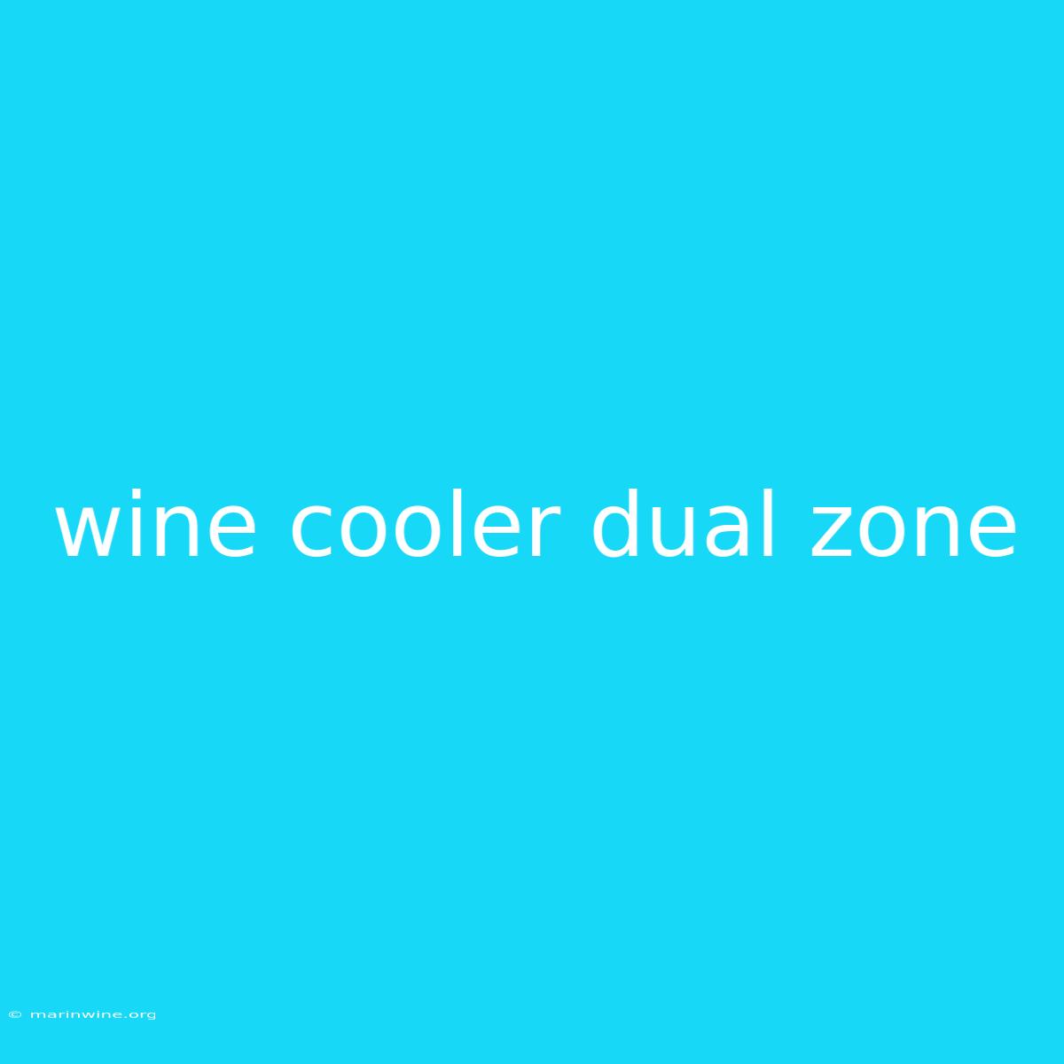 Wine Cooler Dual Zone