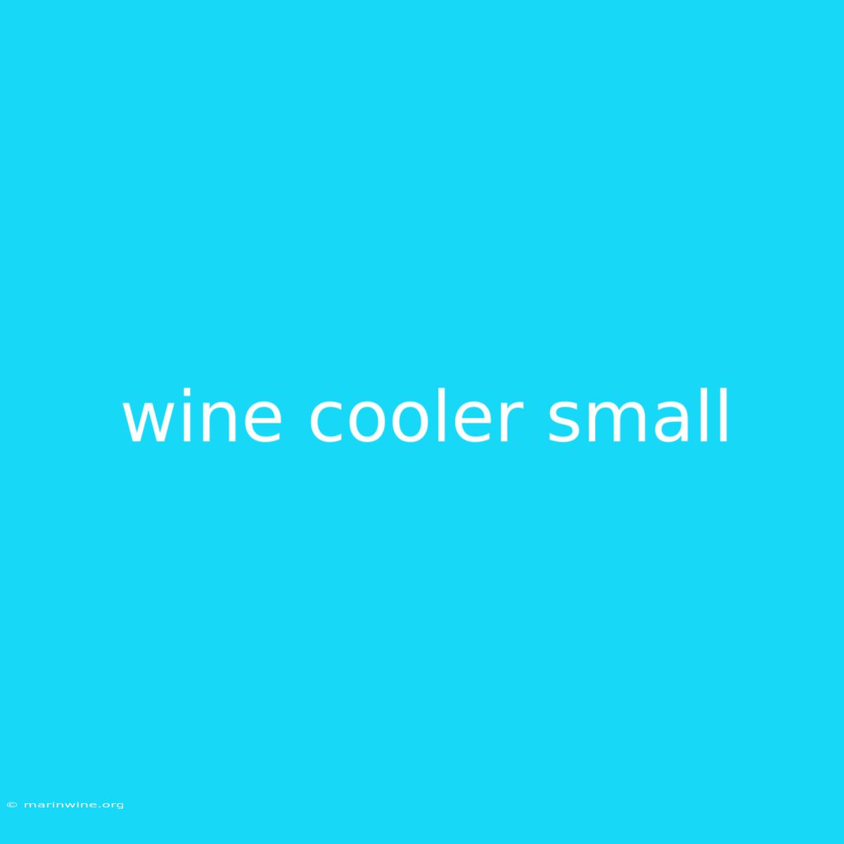 Wine Cooler Small