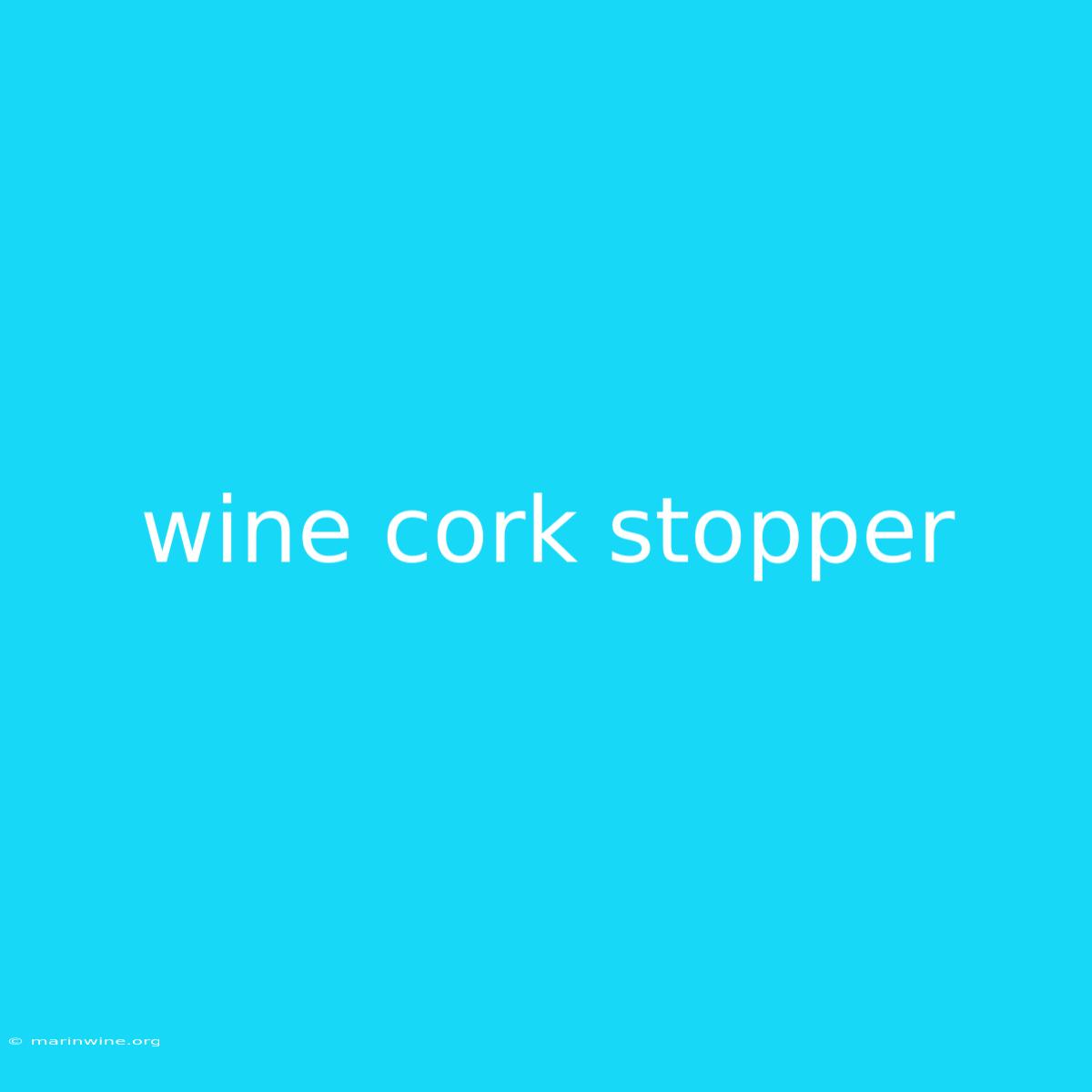 Wine Cork Stopper