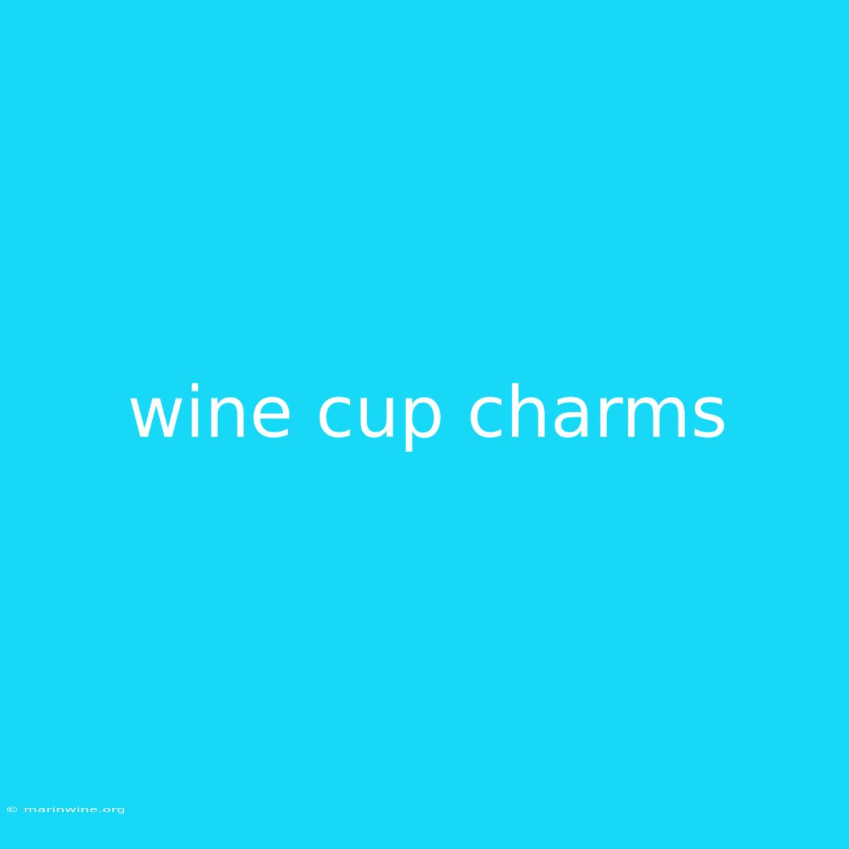 Wine Cup Charms