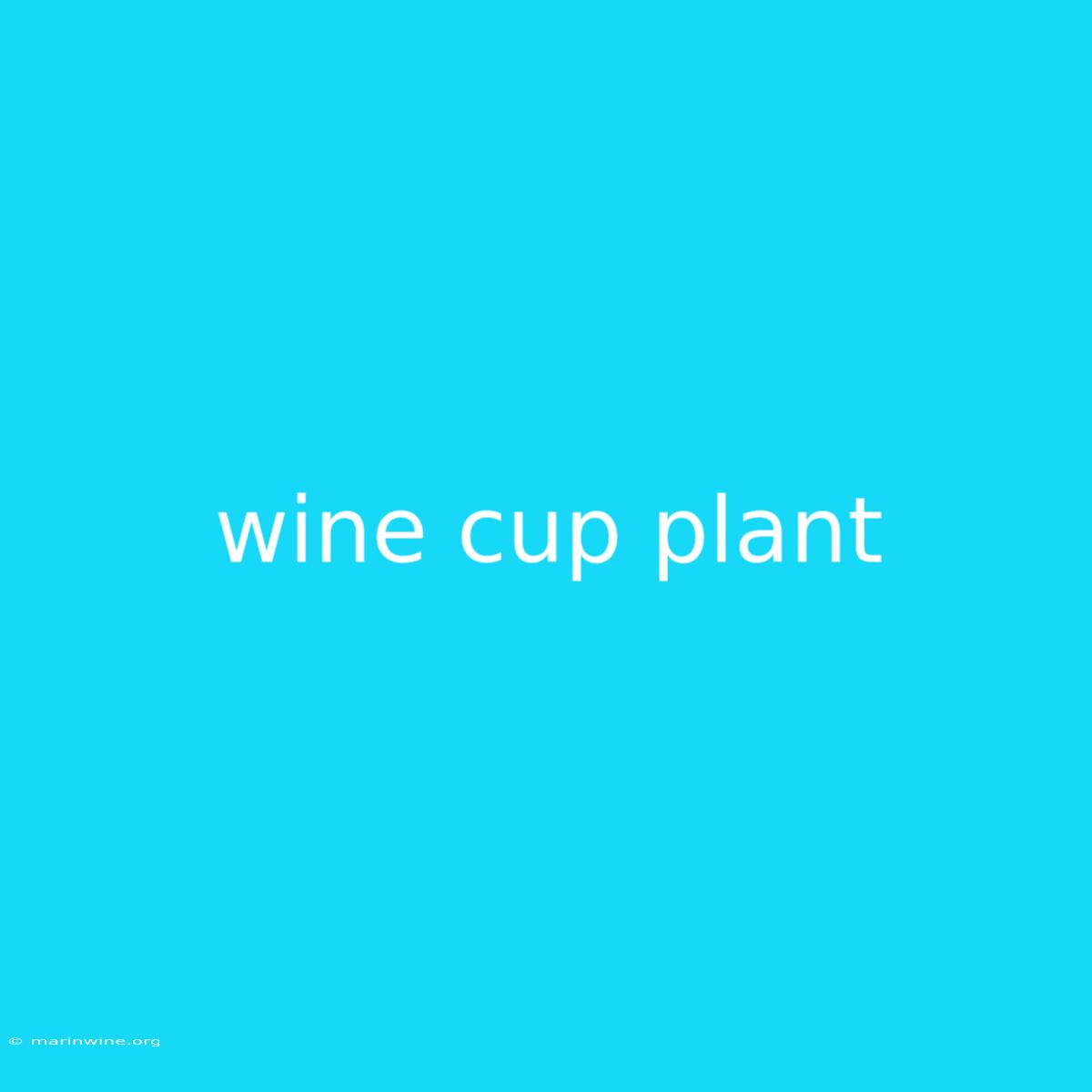 Wine Cup Plant