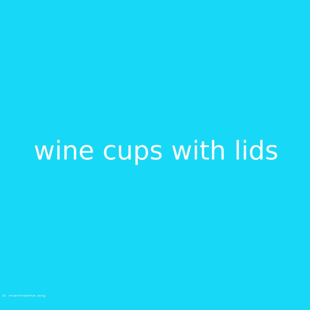 Wine Cups With Lids