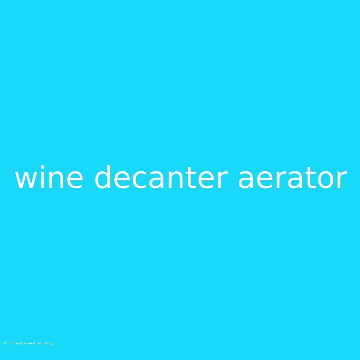 Wine Decanter Aerator