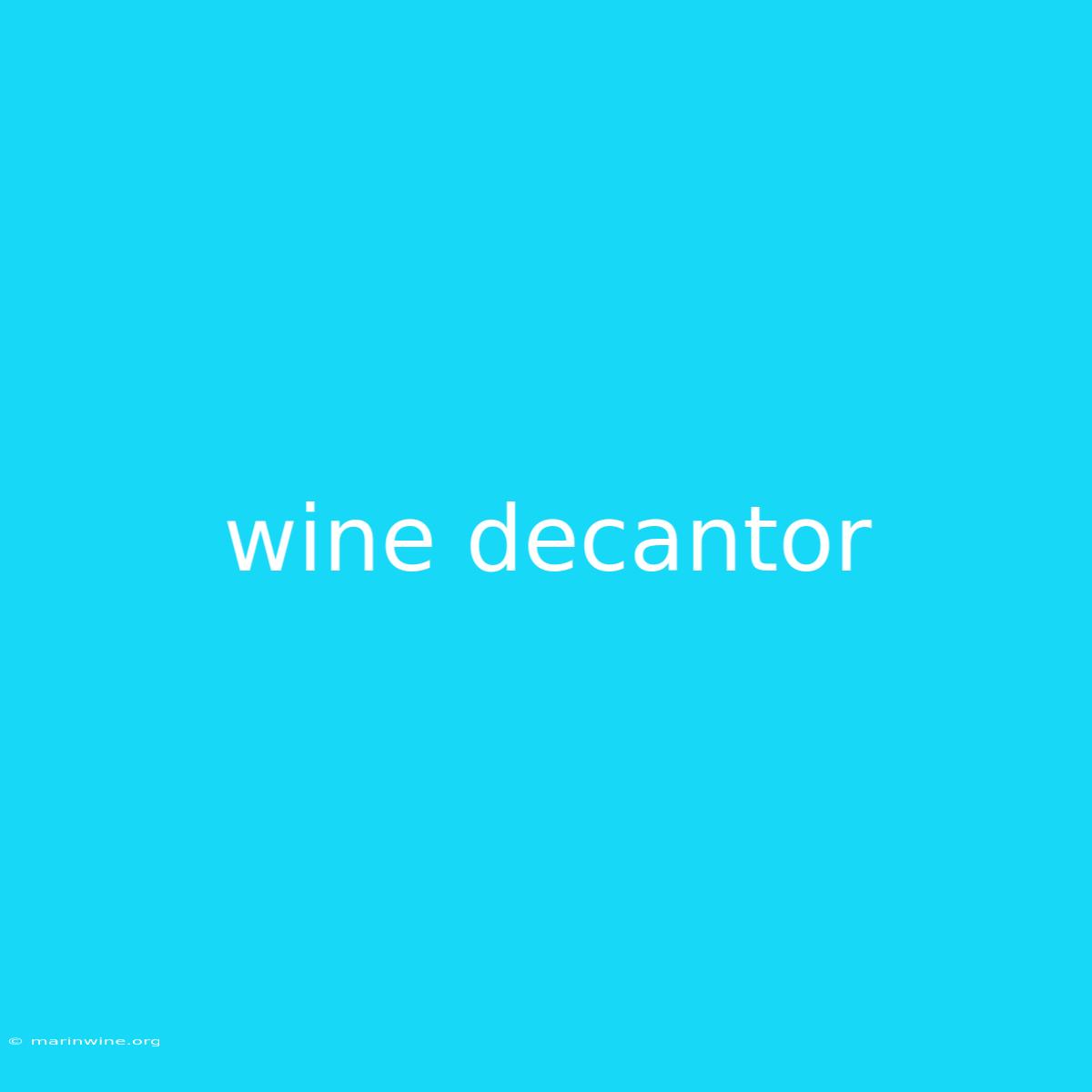 Wine Decantor