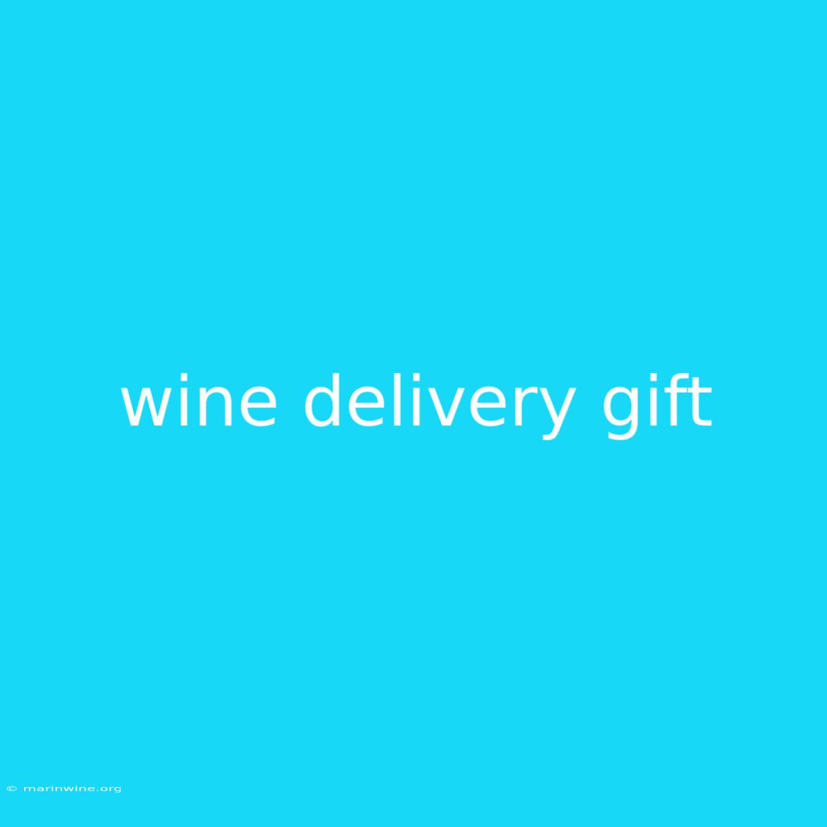 Wine Delivery Gift