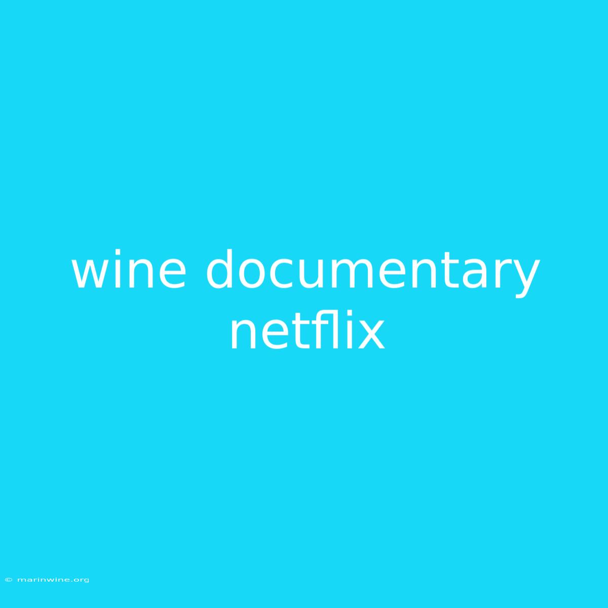 Wine Documentary Netflix