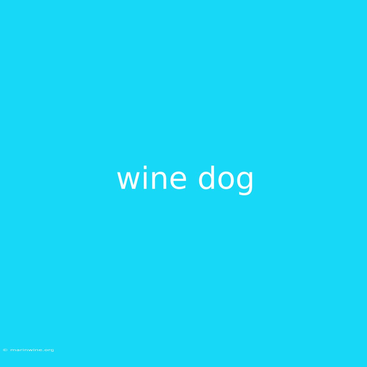 Wine Dog