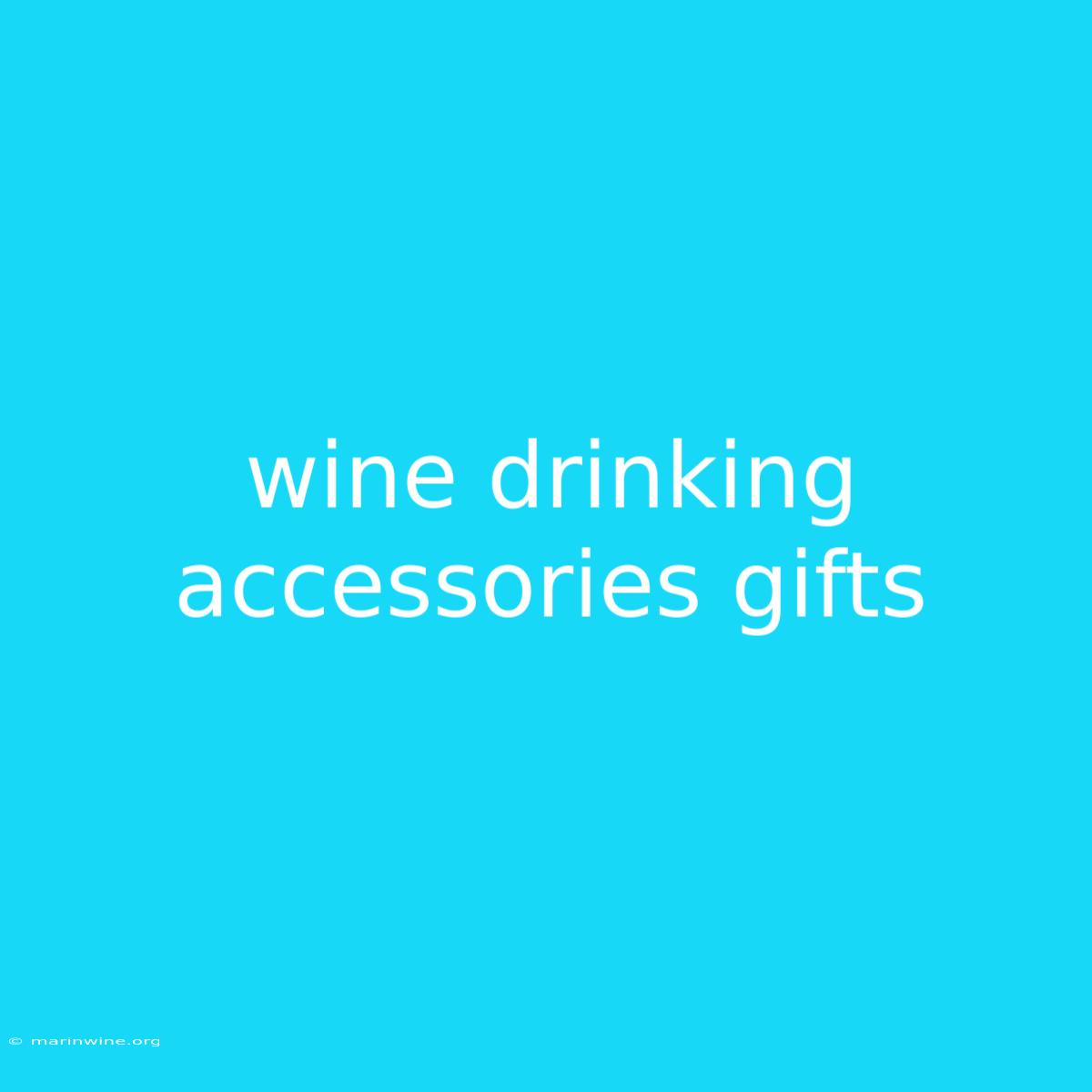 Wine Drinking Accessories Gifts