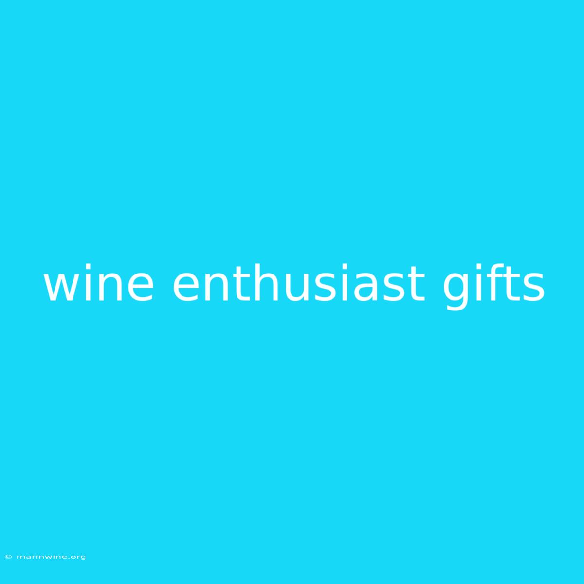 Wine Enthusiast Gifts