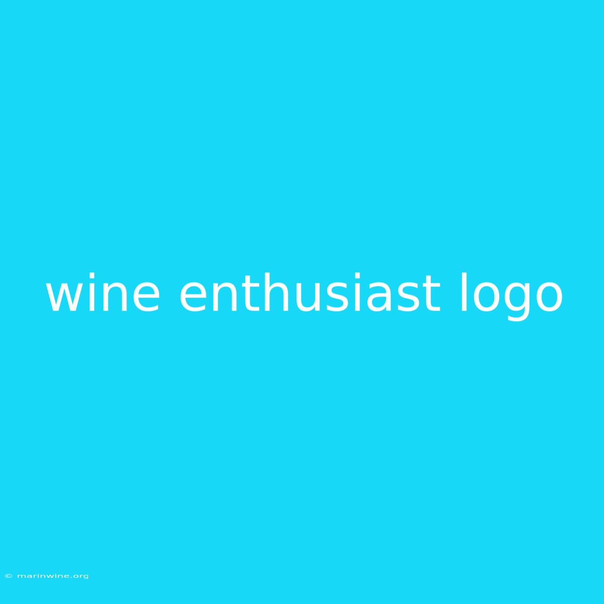 Wine Enthusiast Logo