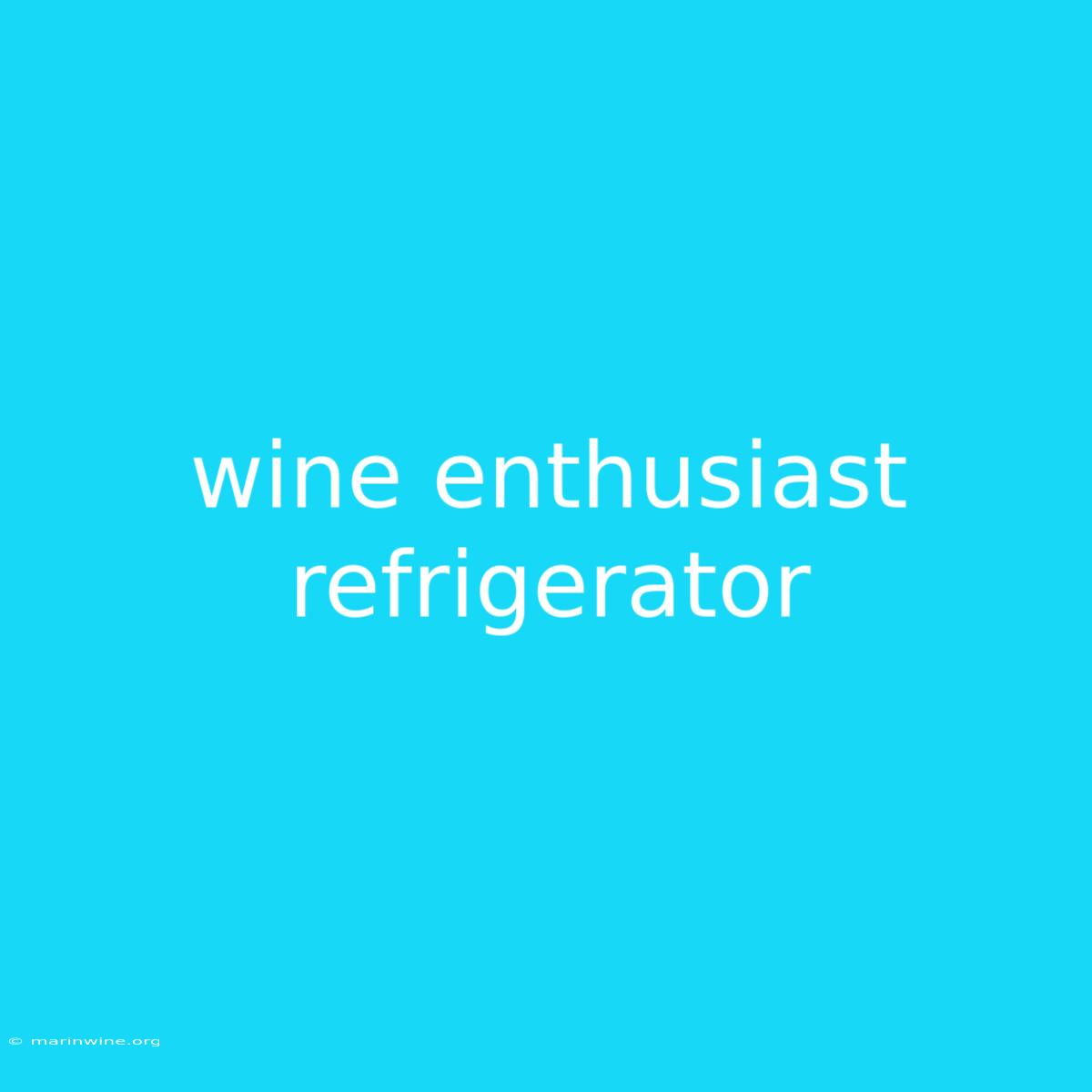 Wine Enthusiast Refrigerator