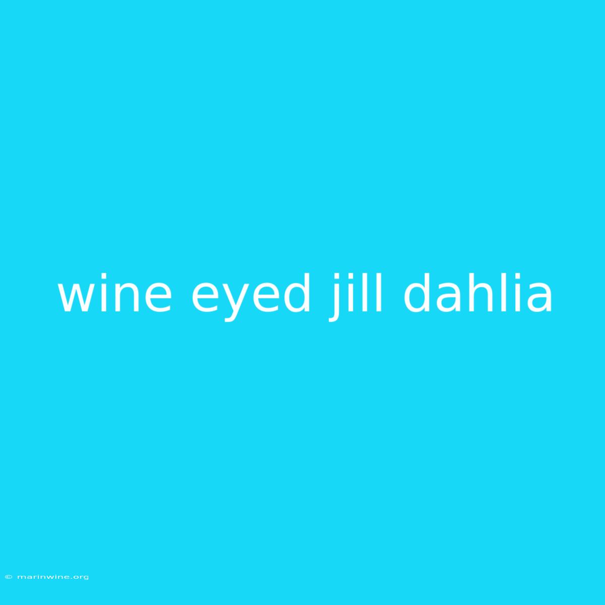 Wine Eyed Jill Dahlia