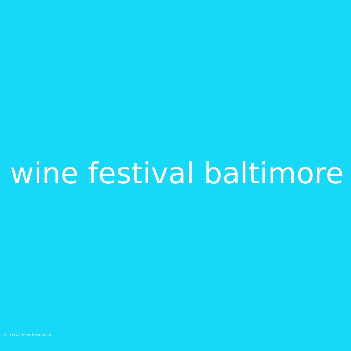 Wine Festival Baltimore