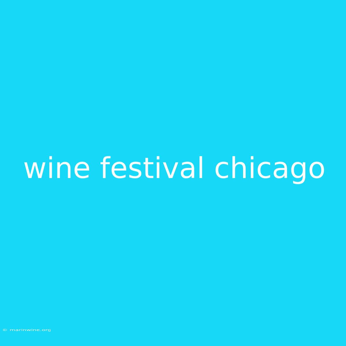 Wine Festival Chicago