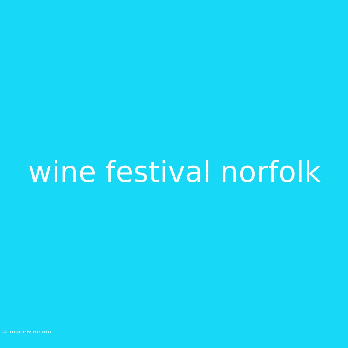 Wine Festival Norfolk