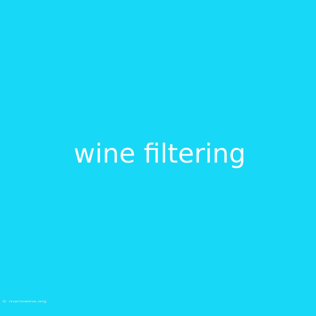 Wine Filtering