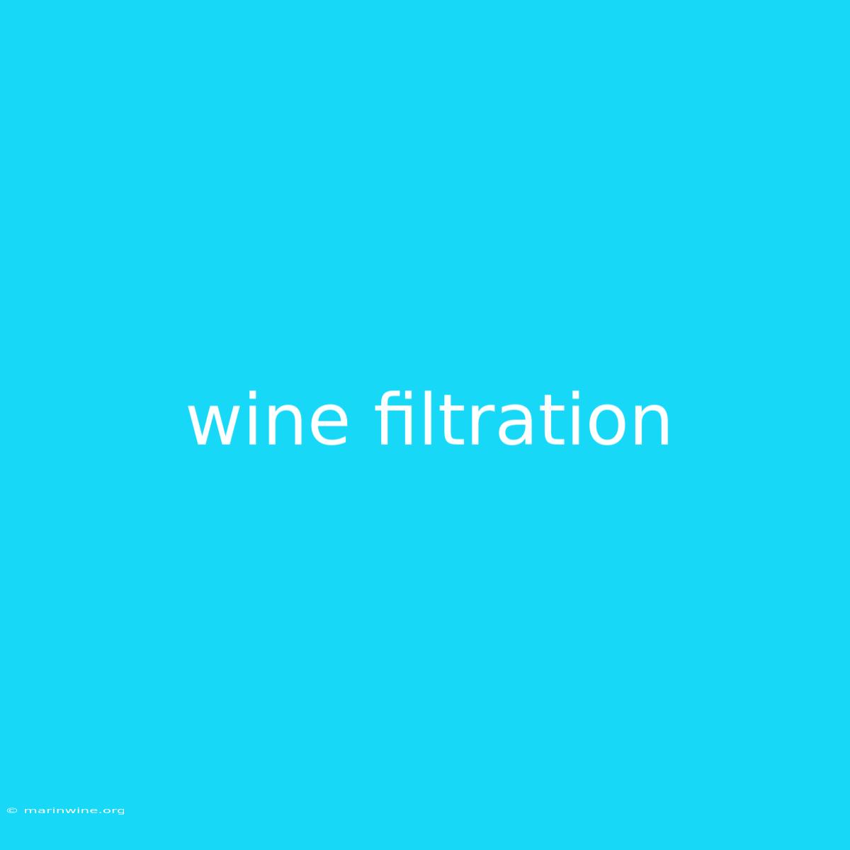 Wine Filtration