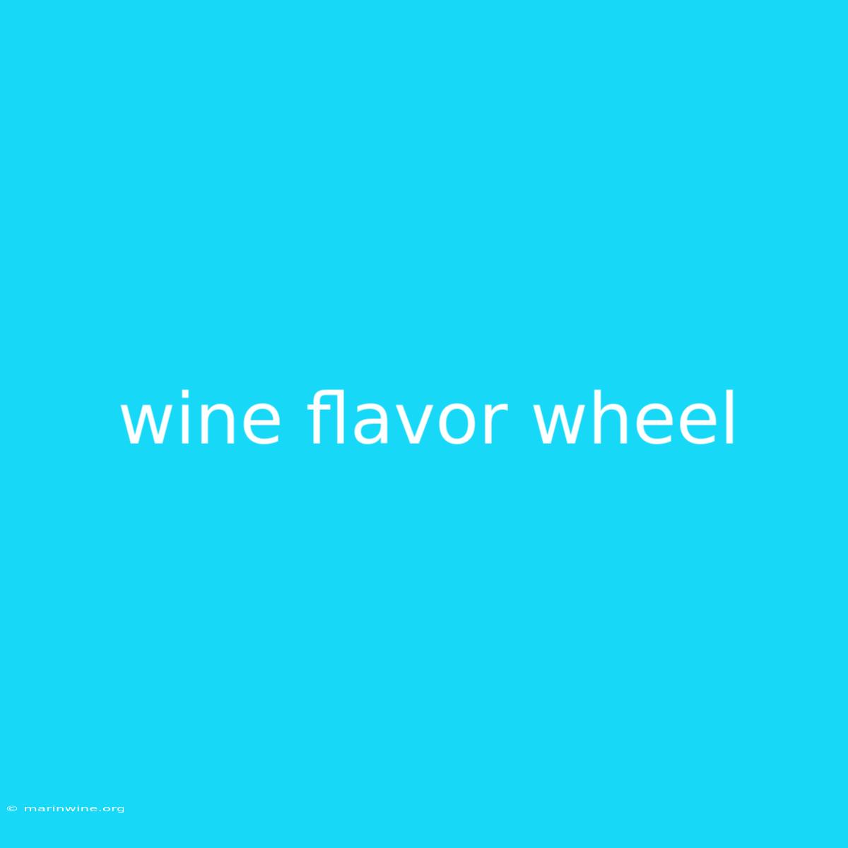 Wine Flavor Wheel