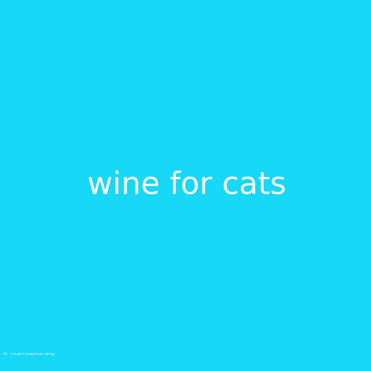 Wine For Cats