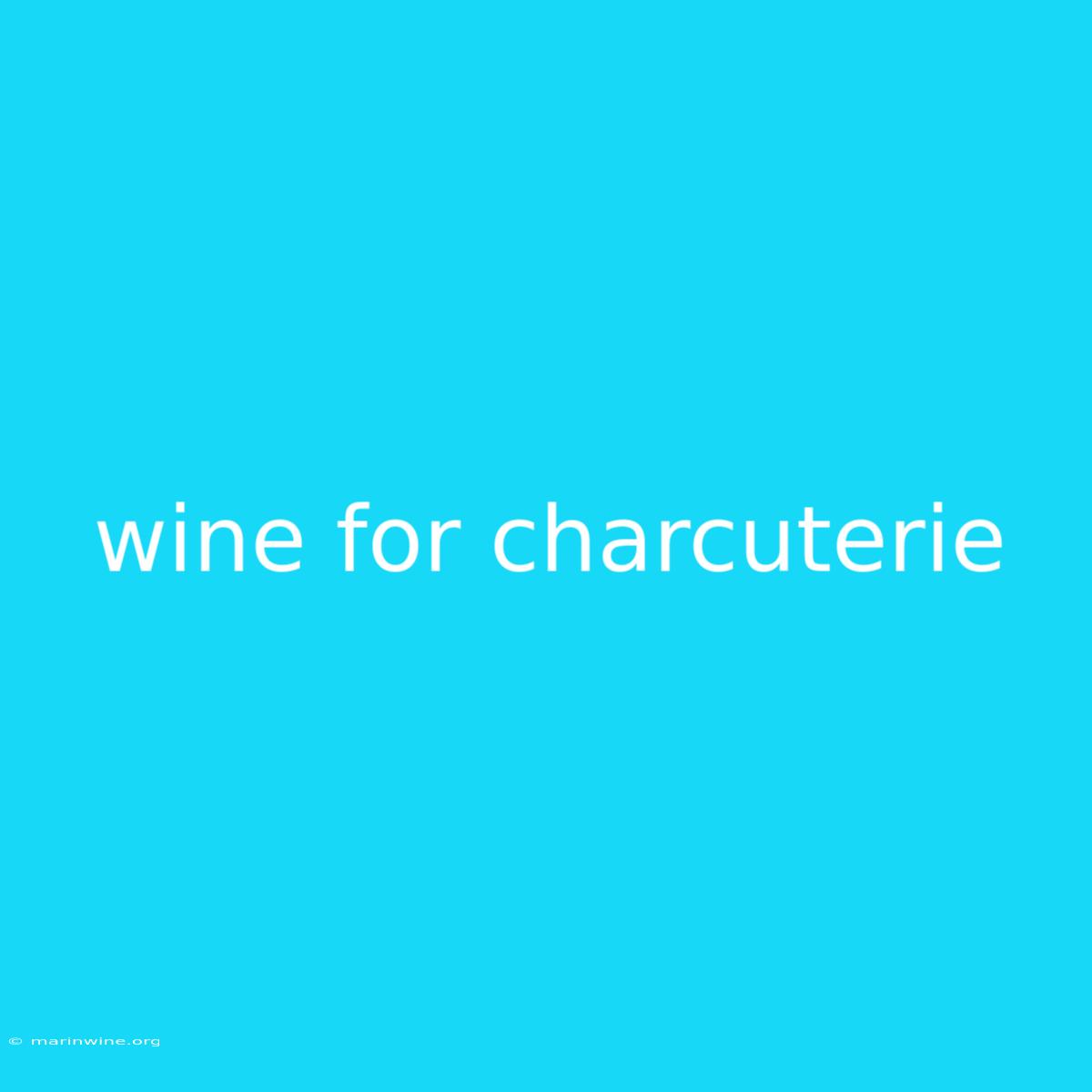 Wine For Charcuterie