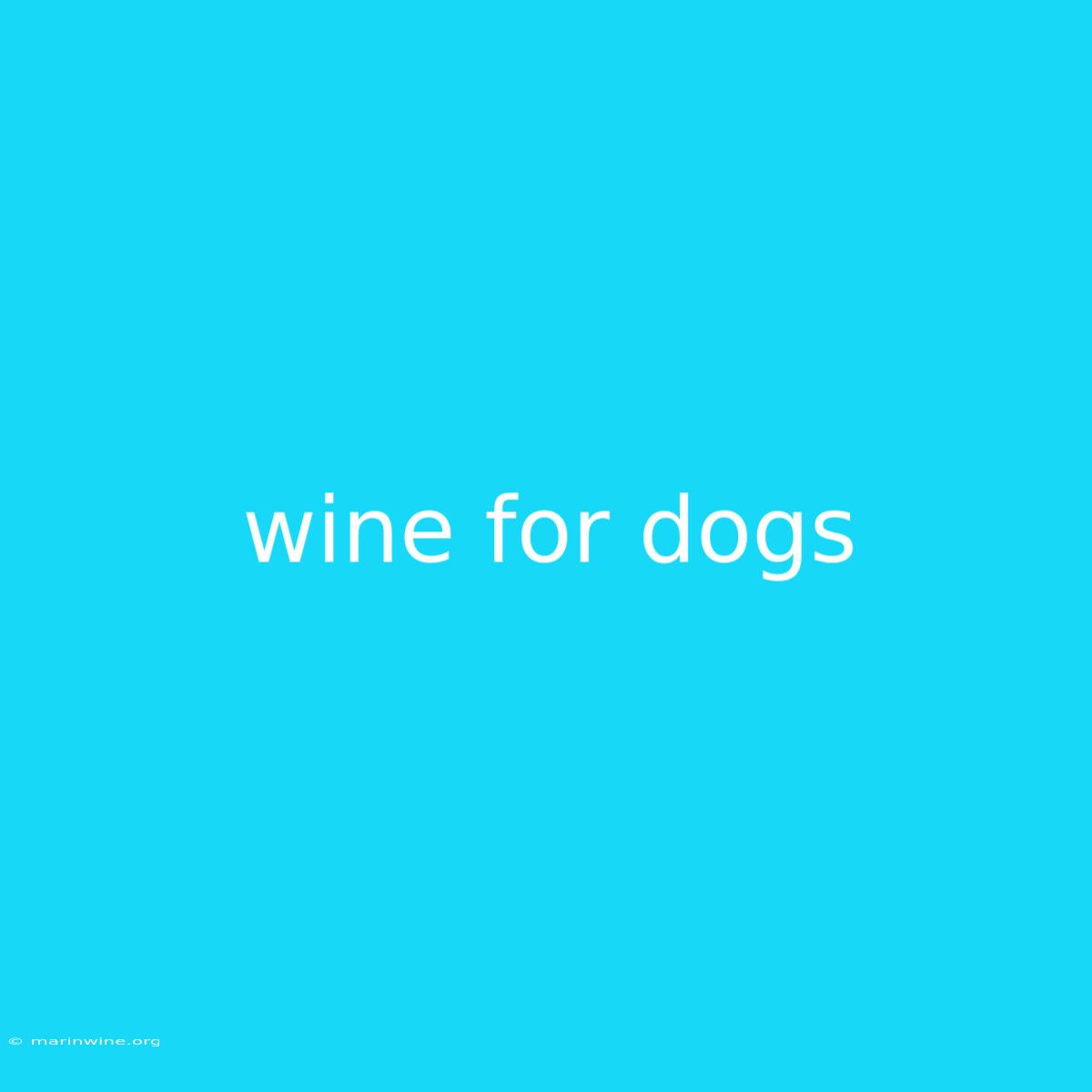 Wine For Dogs