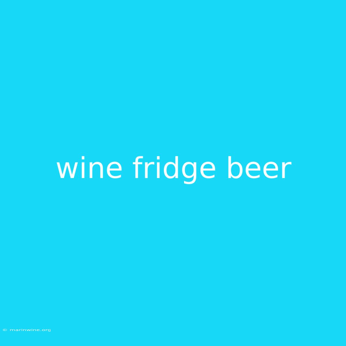 Wine Fridge Beer