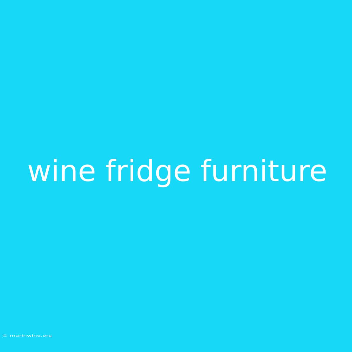 Wine Fridge Furniture