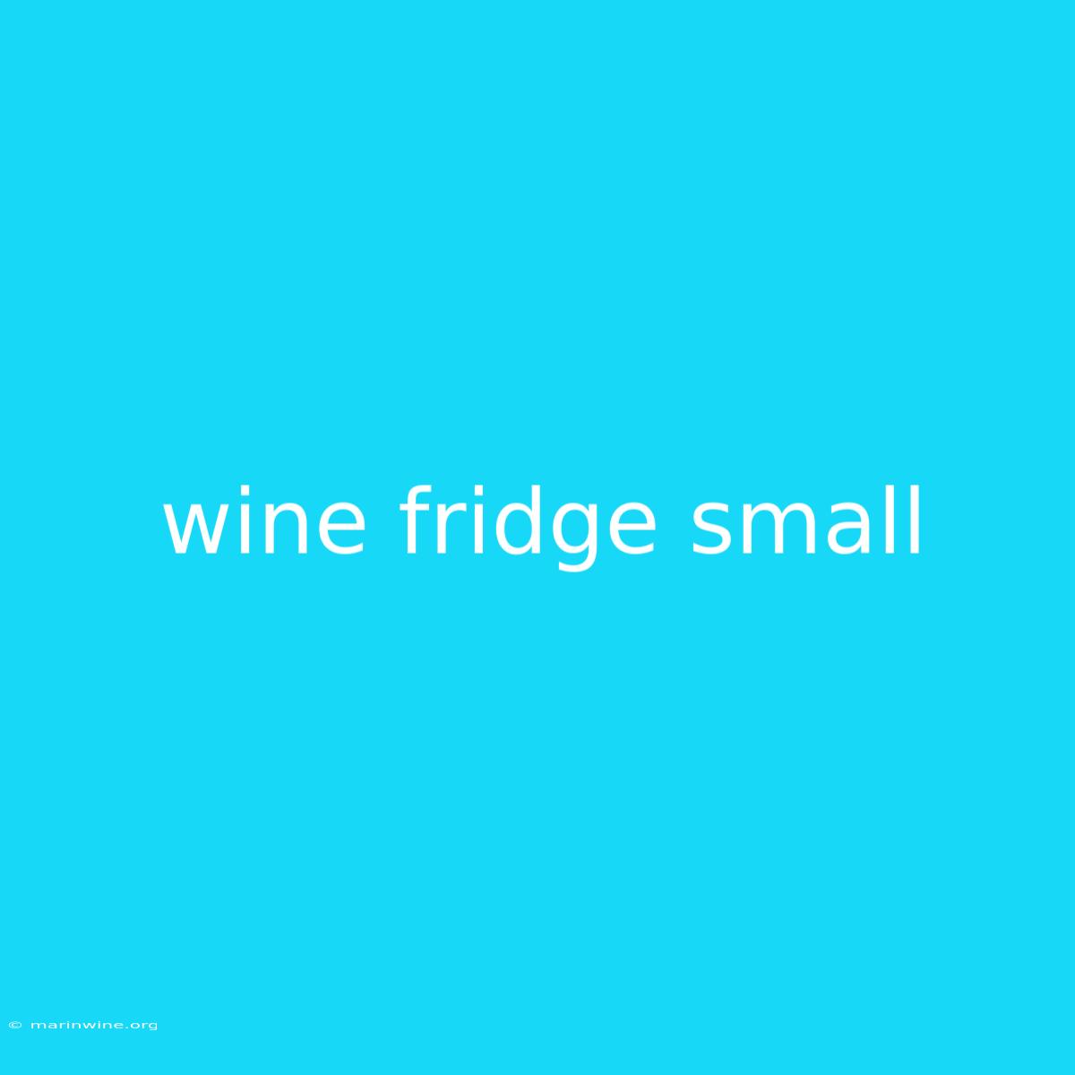 Wine Fridge Small