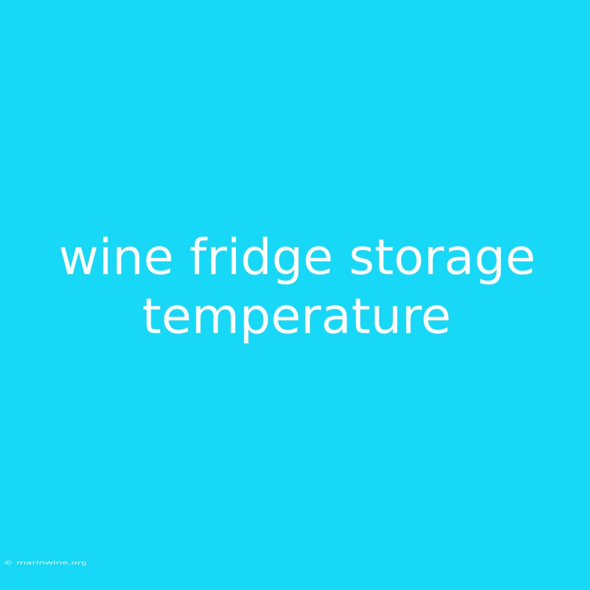 Wine Fridge Storage Temperature