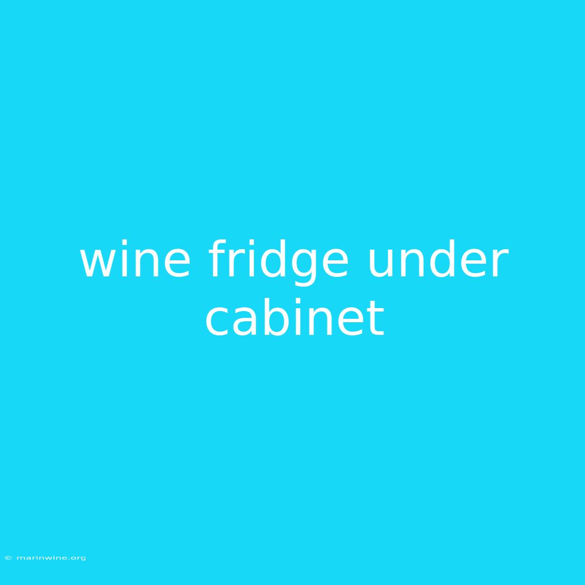 Wine Fridge Under Cabinet