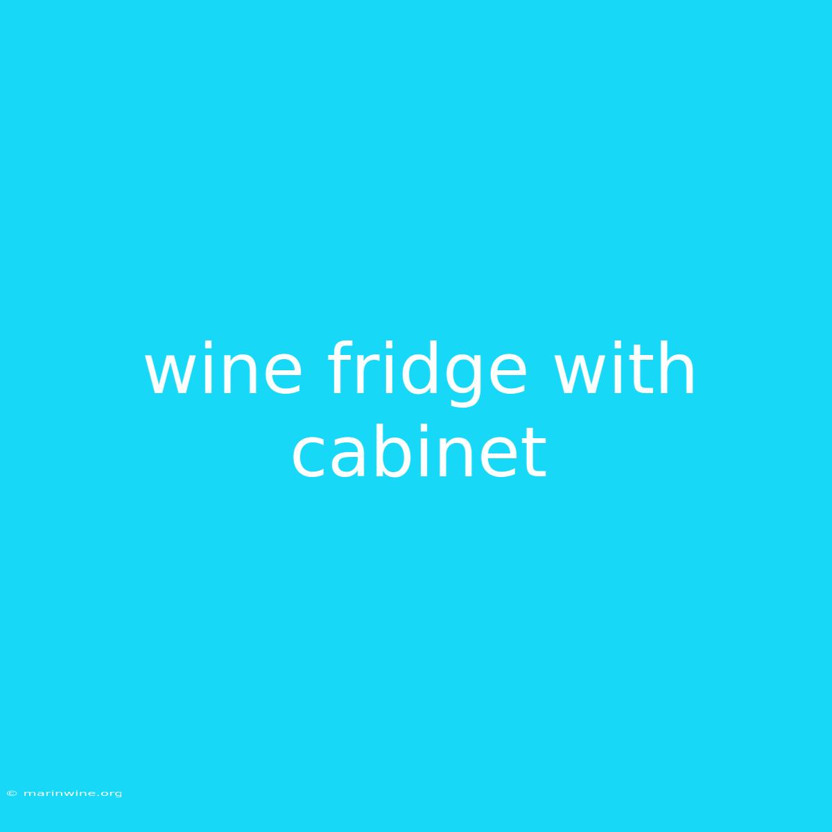 Wine Fridge With Cabinet