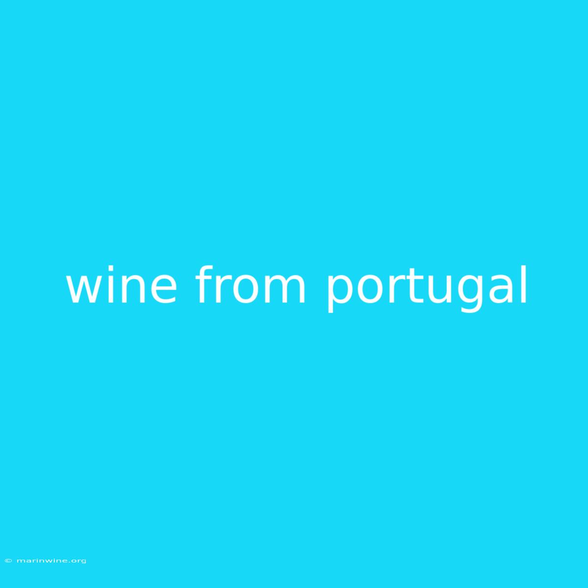 Wine From Portugal