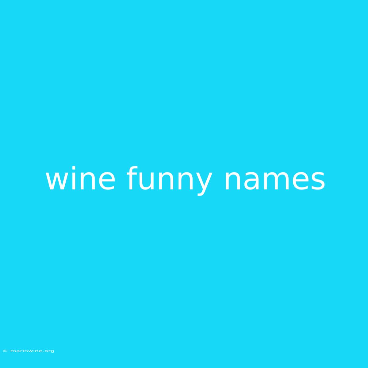 Wine Funny Names