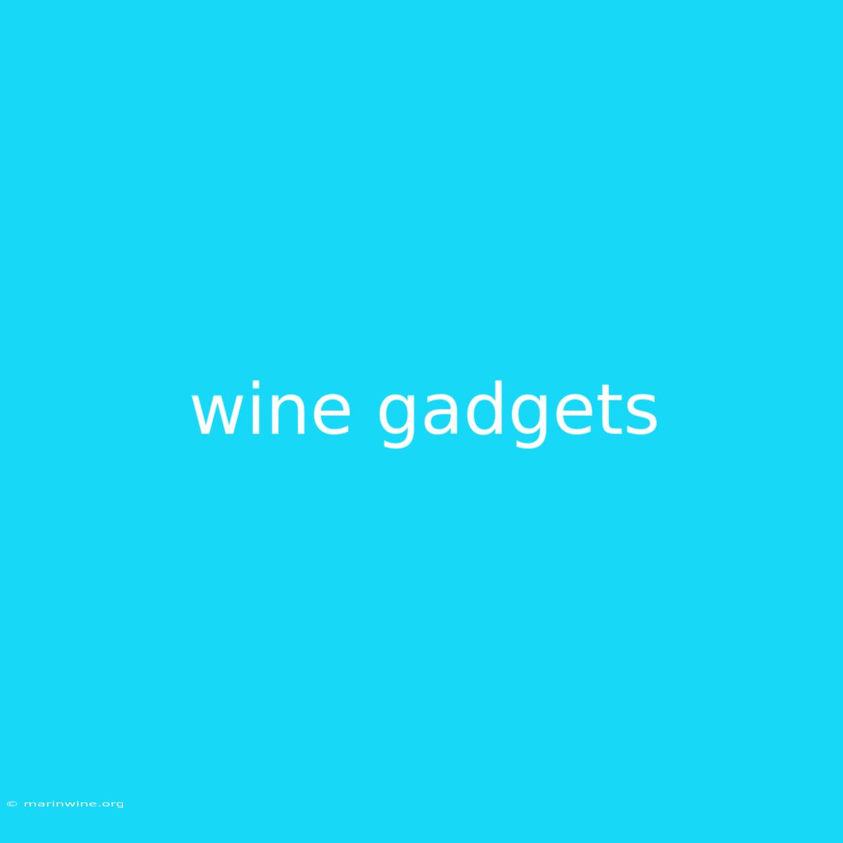 Wine Gadgets