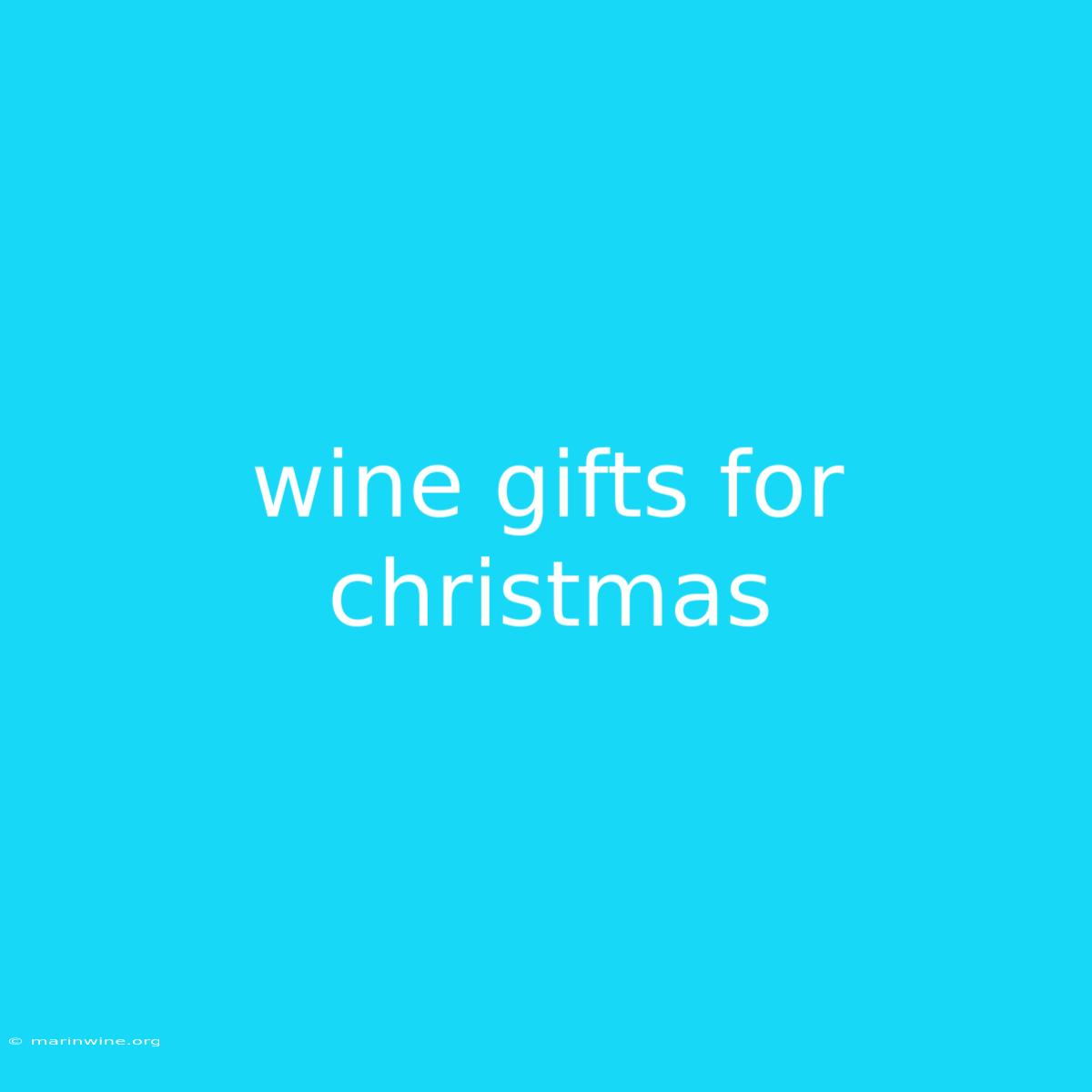 Wine Gifts For Christmas