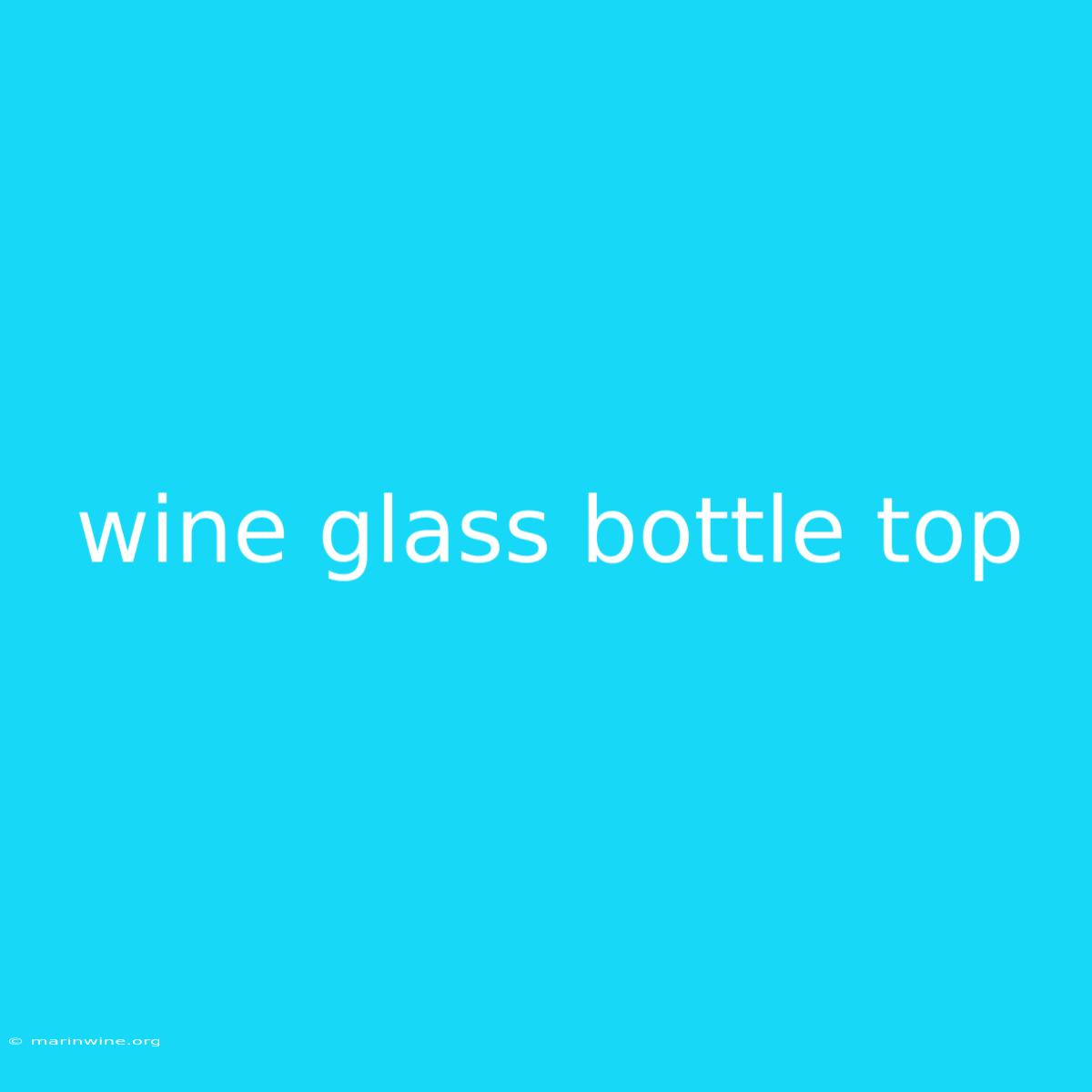 Wine Glass Bottle Top