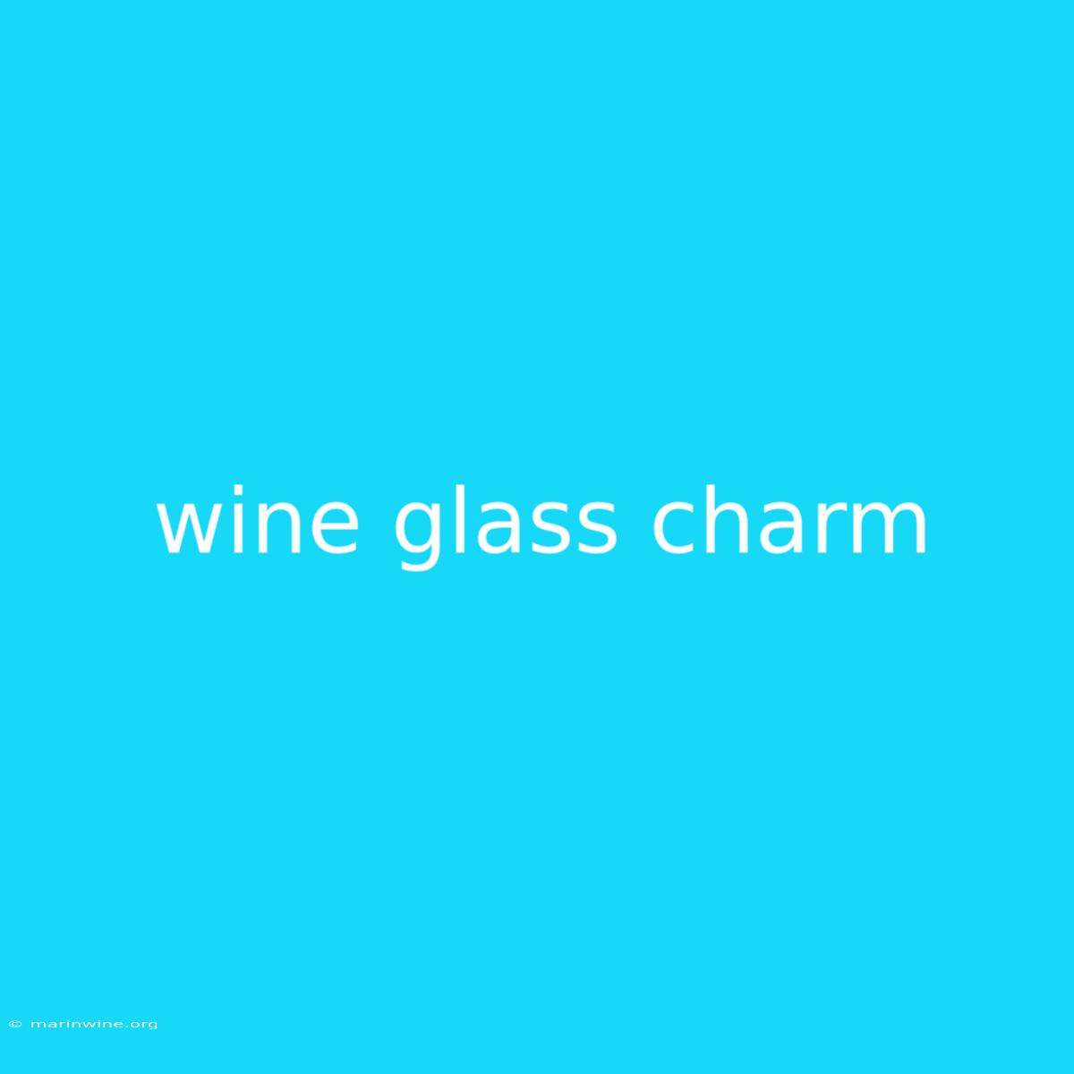 Wine Glass Charm