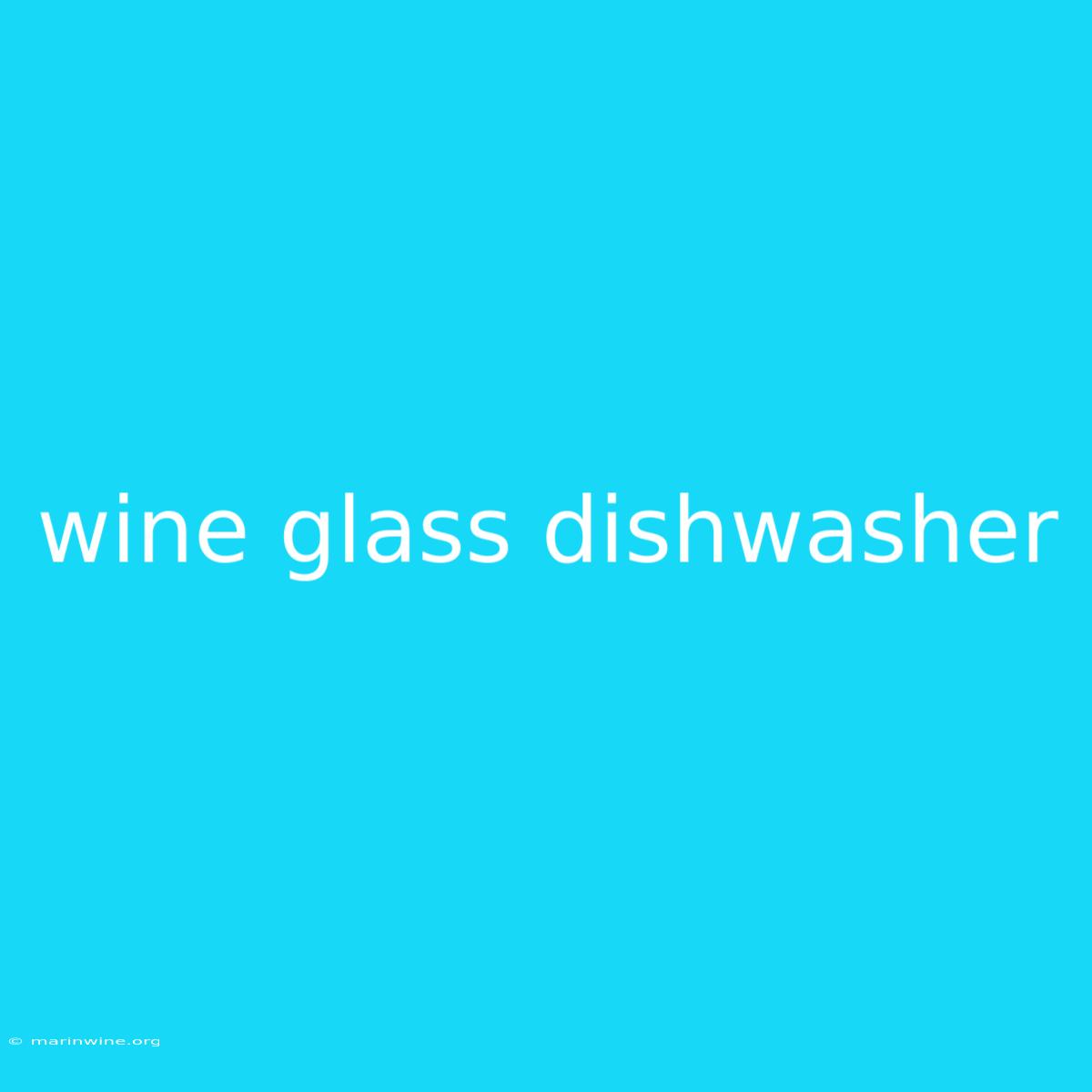 Wine Glass Dishwasher