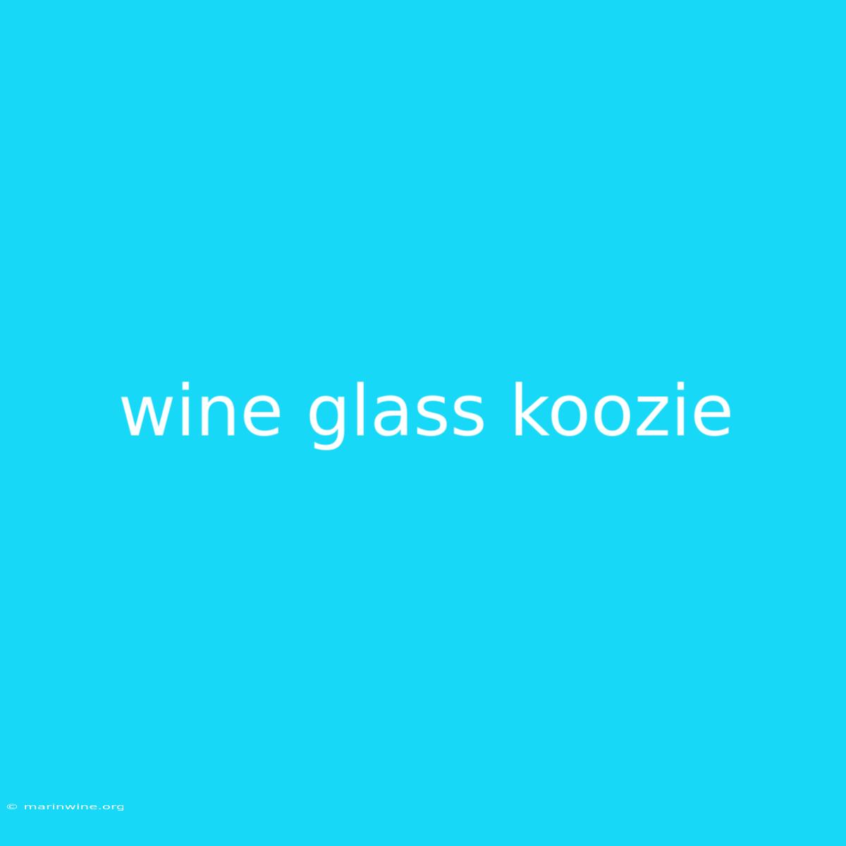 Wine Glass Koozie