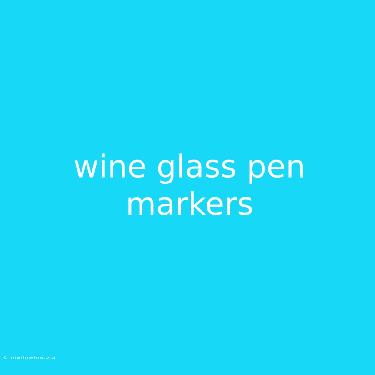 Wine Glass Pen Markers