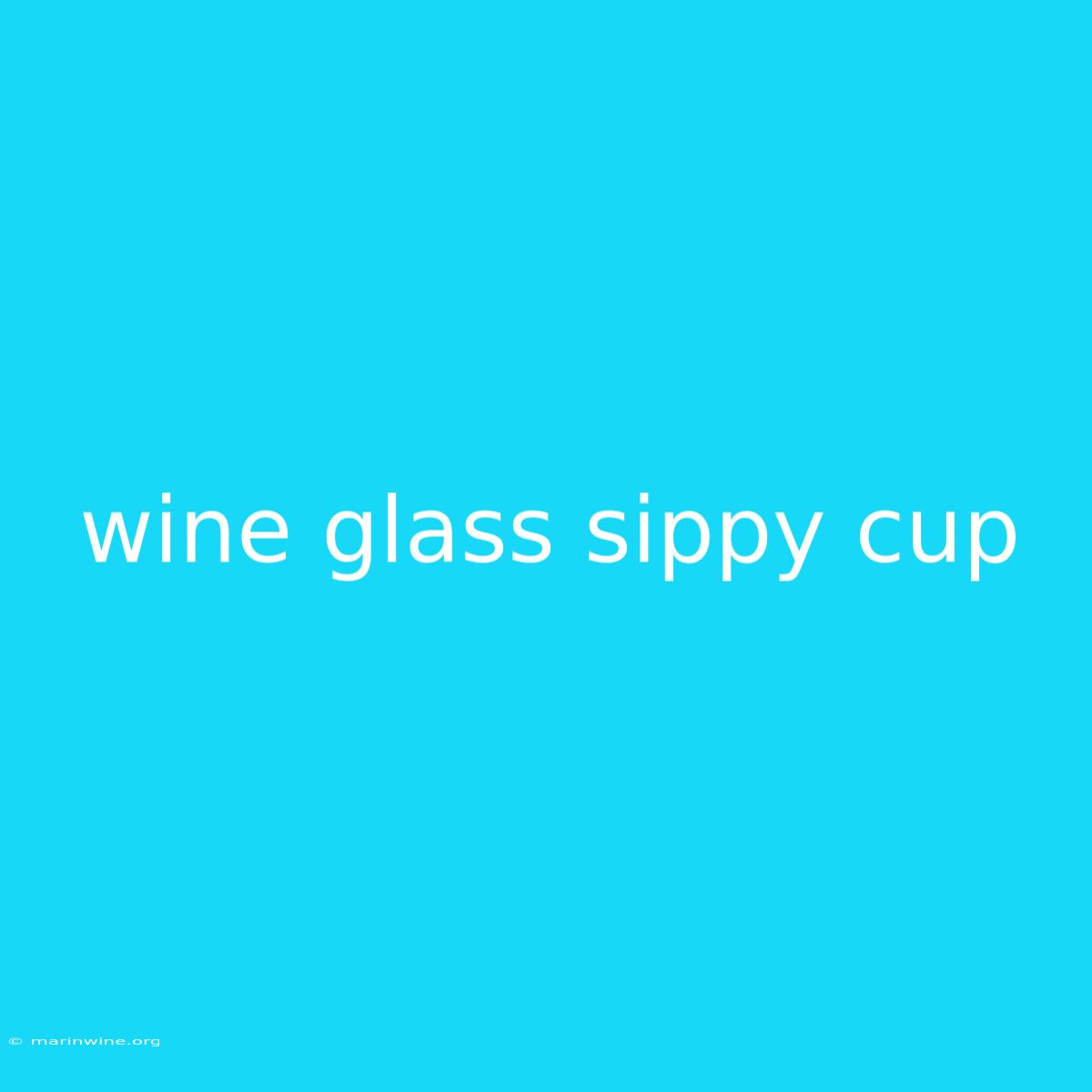 Wine Glass Sippy Cup