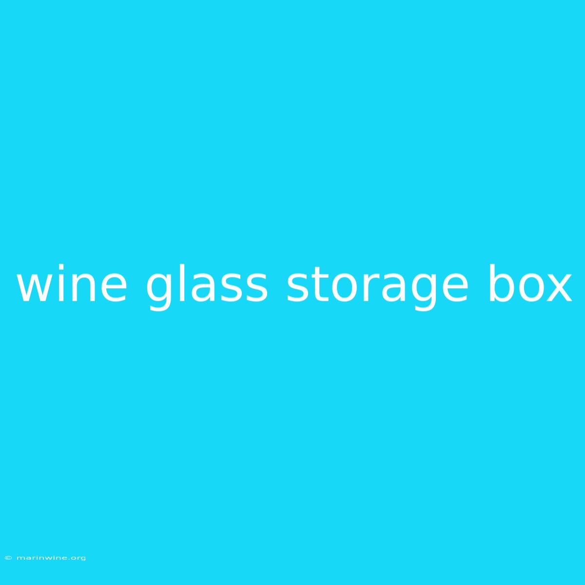 Wine Glass Storage Box